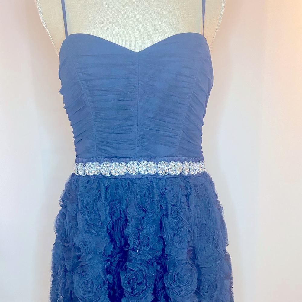 Stunning Navy Rose Dress